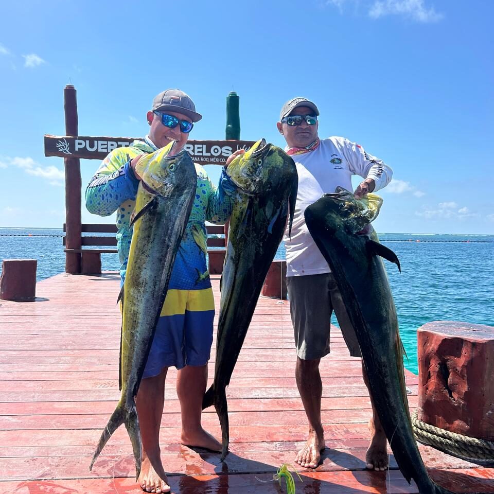 puerto morelos fishing tour catch