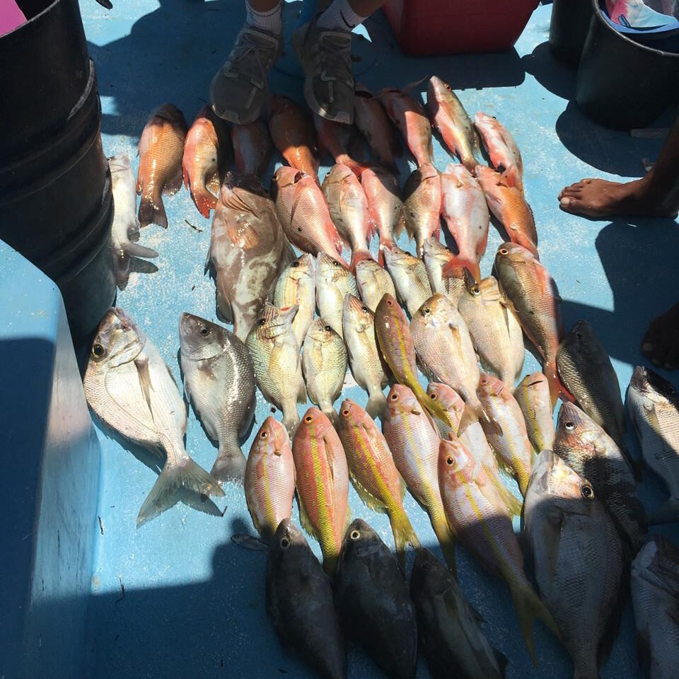 fresh fish caught in puerto morelos fishing tour